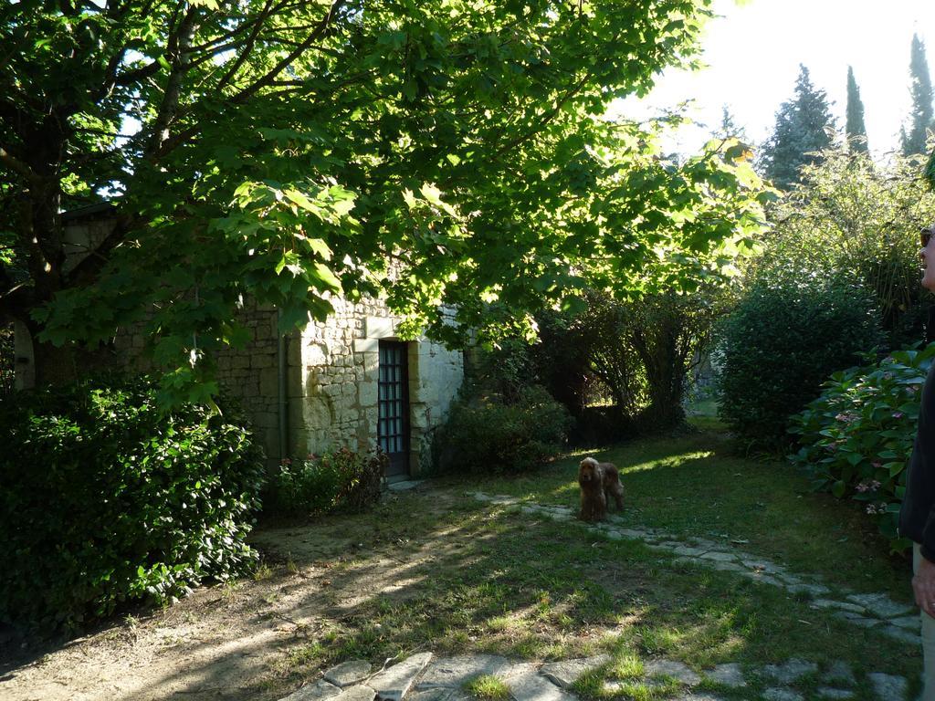 Le Logis Du Peu Girard Bed & Breakfast La Roche-Clermault Exterior foto