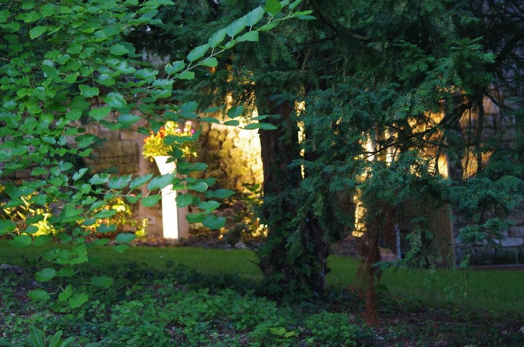 Le Logis Du Peu Girard Bed & Breakfast La Roche-Clermault Exterior foto