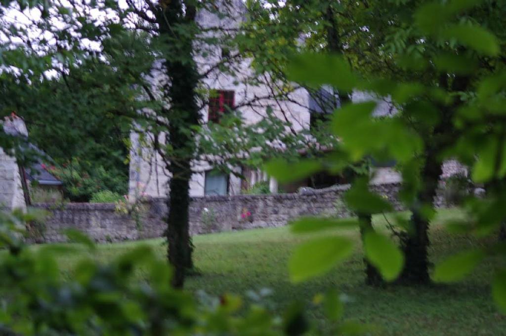 Le Logis Du Peu Girard Bed & Breakfast La Roche-Clermault Exterior foto