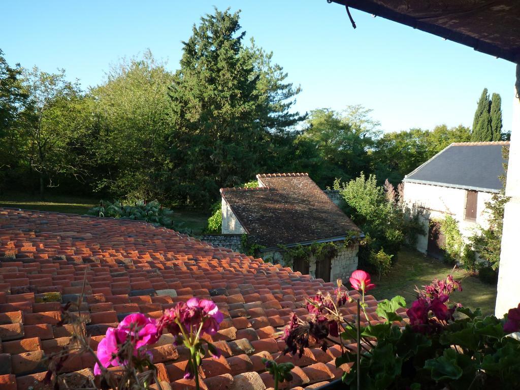 Le Logis Du Peu Girard Bed & Breakfast La Roche-Clermault Cameră foto